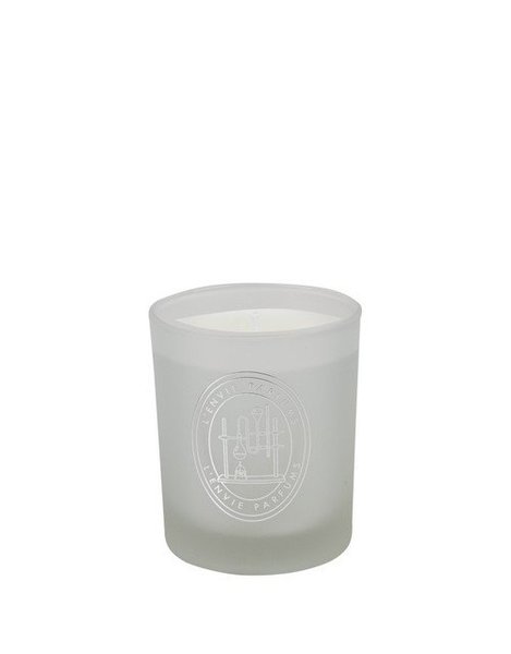 Vela Perfumada Into The Night Lenvie 210 g