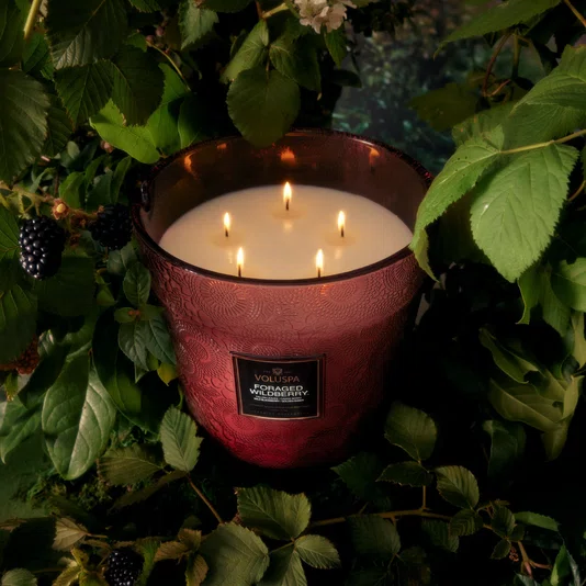 Vela Pote Vidro 5 Pavios Foraged Wildberry Voluspa +250 Horas