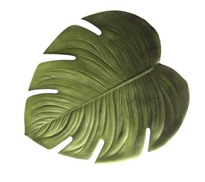 Americano Giardino Folha de Adão Verde Copa e Cia