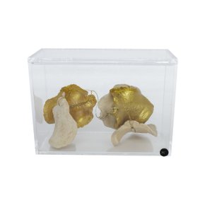 Caixa P Horiz Boca de Sapo com Dourado Yana Coelho