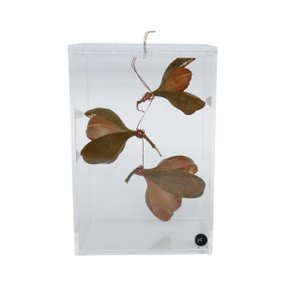 Caixa Rosa Tefé com Cobre P Yana Coelho