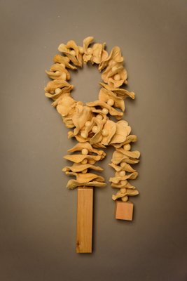 Colar Boca de Sapo Studio L 75 cm