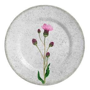Conjunto 06 Pratos Rasos Cirsium  Alleanza Cerâmica