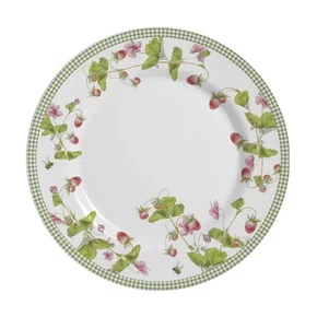 Conjunto 06 Pratos Rasos Picnic Alleanza Cerâmica