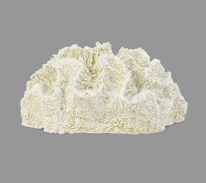 Enfeite Coral G The Home Branco