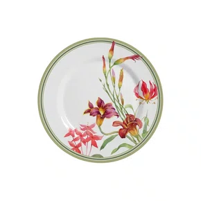 Jogo 06 Pratos De Sobremesa Spring Alleanza Cerâmica 21 cm