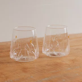 Jogo de 2 Copos em Vidro Borossilicato Jardim Rosa 450 ml