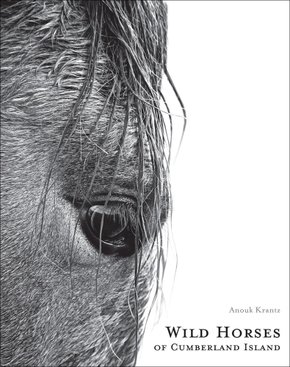 Livro Wild Horses Of Cumberland Island: Anouk Masson Krantz
