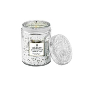 Mini Vela 50H Silver Birch Peppercoorn Voluspa