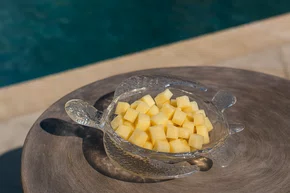 Petisqueira Acrílico Pequena Tartaruga Transparente 27 cm