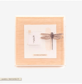 Quadro Galleria Libélula No Rain No Flower Mercatto Casa 