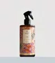 Água Perfumada Terra do Sol Água De Coco Lenvie 500 ml