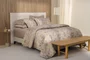 Almofada Aloro 200 Fios 45 cm x 45 cm Trussardi