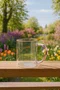 Caneca em Vidro Borossilicato Rosa 420 ml