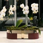 Centro De Mesa Poiesis Com Base Prata St James 60 x 24 x 16 cm