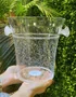 Champanheira Redonda 3,8 Litros Bubble Transparente