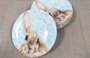 Conjunto 6 Peças Pratos Sobremesa Sweet Easter Scalla Ceramica
