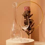 Decanter de Cristal 41cm Strauss