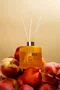 Difusor De Perfume Pêssego Oriental Lenvie 200 ml