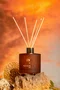 Difusor Terra do Sol Água De Coco Lenvie 200 ml