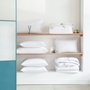 Recheio Duvet Queen Plumas Italianas 600 Fios Buddemeyer Luxus Branco
