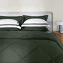 Edredom Queen Grasso 300 Fios Trussardi Fogli 250cm x 270cm