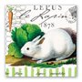 Guardanapo De Papel Para Lanche Lapin Michel Design 16,5 x 16,5 cm