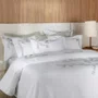 Jogo 2 Fronhas Pistacia 300 Fios Trussardi Branco 50cm x 70cm