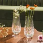 Jogo 2 Vasos de Cristal Strauss 13 cm com Caixa para Presente