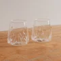 Jogo de 2 Copos em Vidro Borossilicato Jardim Rosa 450 ml