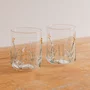 Jogo de 2 Copos em Vidro Borossilicato Jardim Verde 450 ml