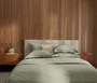 Jogo De Cama Casal Glieno 300 Fios Trussardi Pistacchio 220cm x 260cm
