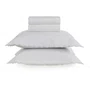 Jogo De Cama Queen Gaius 300 Fios Trussardi 2,40 x 3,00 m