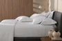 Jogo De Cama Queen Grasso 300 Fios Trussardi 2,40 x 2,80 m Branco