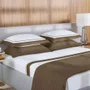 Jogo de Cama Solteiro Fiesole 200 Fios Trussardi Branco e Marrone 180cm x 260cm