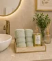 Kit Presente Lavabo Verde