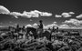 Livro Ranchland: Wagonhound