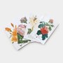 Livro Roses: 100 Postcards from the Archives of The New York Botanical Garden - Ballantine Books Inc.