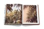 Livro Saudi Dates: A Portrait of the Sacred Fruit - Assouline