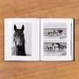 Livro Wild Horses Of Cumberland Island: Anouk Masson Krantz