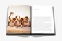 Livro Wine & Travel Italy - Assouline