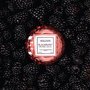 Mini Vela Macaron Blackberry Rose Oud Voluspa 15 Horas