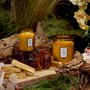 Mini Vela Pote Vidro Baltic Amber Voluspa 50 Horas Mini Vela Pote Vidro Baltic Amber Voluspa 50 Horas