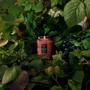 Mini Vela Pote Vidro Foraged Wildberry Voluspa 50 Horas