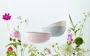 Multi Bowl Jardin Le Creuset Meringue 3,6 Litros
