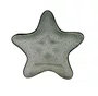 Petisqueira Acrílico Pequena Estrela Verde 20 cm