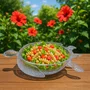 Saladeira Acrílico Tartaruga Transparente 45 cm