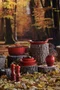 Jogo 2 Moedores Sal e Pimenta Le Creuset Vermelho