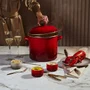 Set 2 Peças Stock Pot 26cm e Pegadores Silicone Le Creuset Vermelho