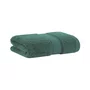 Toalha de Rosto America Buddemeyer Luxus Verde Trevo 48 x 90 cm